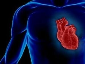Сърдечно-съдови заболявания убиват 2/3 от българите