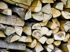 Въвеждат по-строги правила за продажба на дървен материал в ЕС