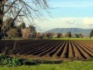 ЕК предлага преквалифициране на селскостопанските региони