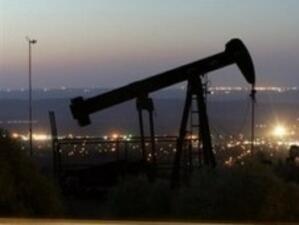 Рязък спад регистрира цената на петрола