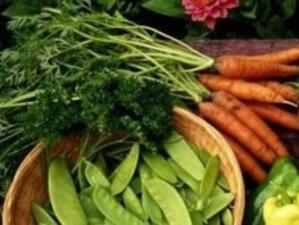 Община Бургас събаря незаконна зеленчукова борса