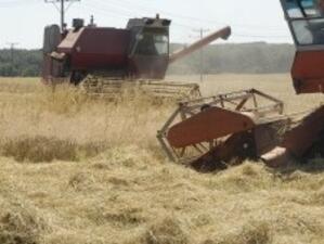 Либия купи от Русия 50 000 тона пшеница