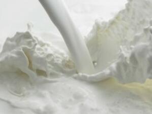Млекопроизводители: Държавата ни унищожава с бездействието си