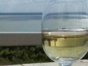 Над 21.6 млн. литра вино са изнесени за първото полугодие