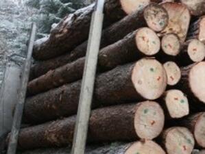 Нов начин за експедиция на дървесината в района на Пловдив