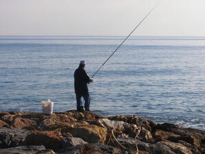 МЗХ ще управлява рибарските пристанища във Варна и Балчик
