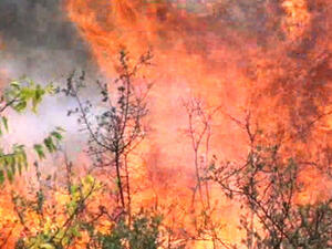 Голям пожар гори край село Падеш до Благоевград