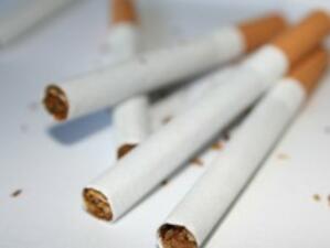 Над 380 млн. къса контрабандни цигари иззети през 2010 г.