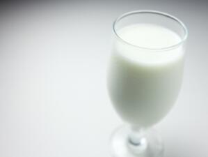Одобриха 122 кандидати за купуване на млечни квоти 