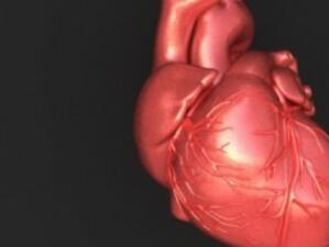 7.5 млн. души умират годишно от сърдечни болести