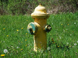Днес няма да има вода в някои столични квартали