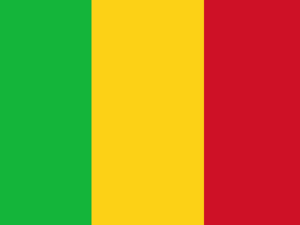Мали има нов временен президент