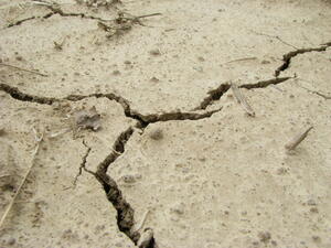 Силно земетресение разлюля България*