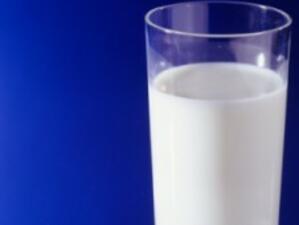 Само половината от млякото в България oтговаря на евро изискванията