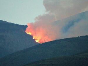Пожарът на Витоша вече унищожава 250 декара гори