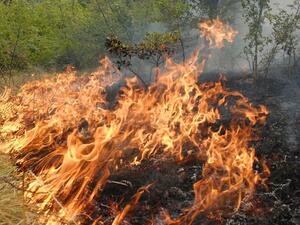 Голям пожар бушува между Тополовград и Гълъбово