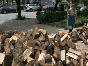 В складовете на търговските фирми цената за дървата на огрев