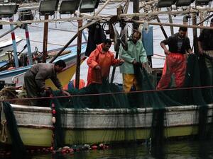 България е получила по-голяма квота за улов на калкан в Черно море