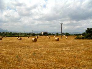 Разкриха измама със земеделска площ във Враца