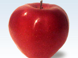 Сертифицирана ябълка от сорта "Глостер 69"