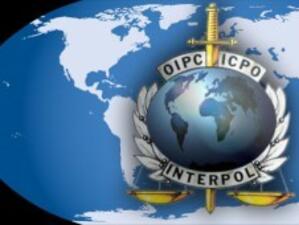Интерпол: Световният тероризъм остава активен въпреки ликвидирането на бин Ладен