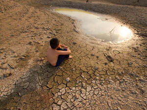 Нов доклад на WWF Германия предупреждава че климатичната криза предизвиква