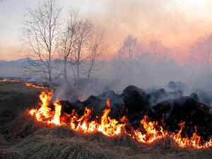 Бенефициенти на ДФ "Земеделие" с глоби за запалени стърнища при установени 103 пожара