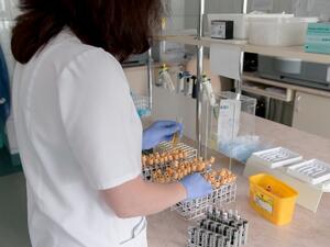 516 случая на коронавирус при 5209 теста