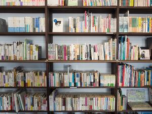 Италианският университет: Карантина за всяка книга, използвана от студенти