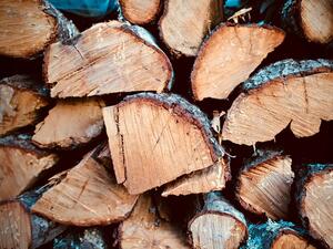 През февруари се очаква намаление на цените на дървата за огрев