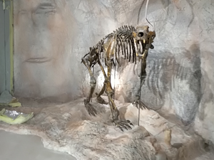 С над 3.5 млн. лв.  развиват пещерния туризъм в Родопите 