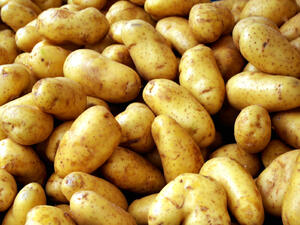 Реколтата от български картофи ще е слаба