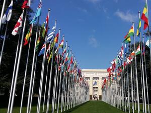 България влиза в Икономическия и социален съвет на ООН