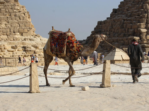 Египет ограничава работата на магазини и ресторанти, пирамидите остават отворени за туристи