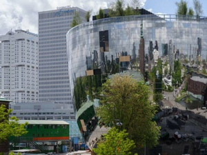 Ротердам пуска туристически маршрут с добавена реалност, разказващ за градските дървета