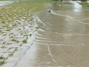 Земеделското министерство ще обезщети фермерите за наводнени ниви