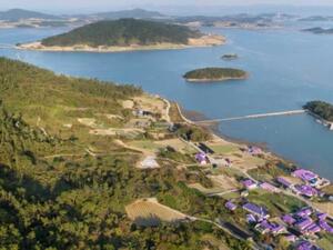 Южнокорейски остров се оцвети в лилаво, за да привлича туристи