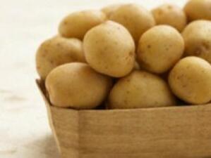 ДФ "Земеделие" е изплатил 2,5 млн. лв. за подпомагане на картофопроизводството