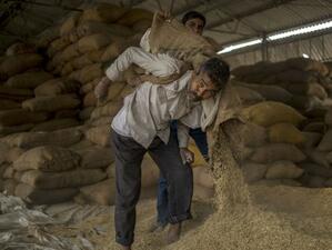Индия може да спре износа и на ориз, милиони са застрашени от глад