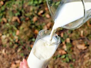 Очакват се фалити на ферми в сектора на млекопроизводството