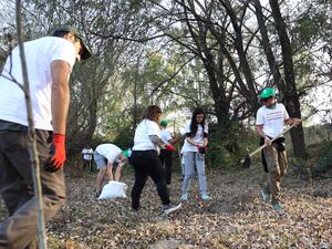 EVN и WWF България с обща инициатива за възстановяване и опазване на горите