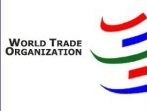 Преговорите между Грузия и Русия за СТО преминаха към съдържателната част