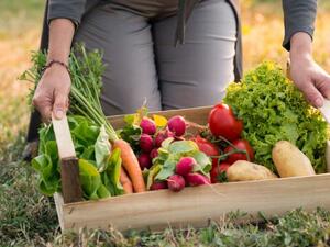 Световният пазар за органични зеленчуци ще нараства с 5% годишно