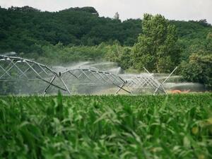 Земеделският фонд изплати близо 10 млн. лева по помощта за напояване