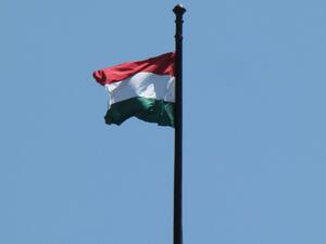 Поправка в избирателния закон разгневи унгарците