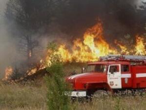 Гасят нов пожар в Родопите в рамките на 2 седмици