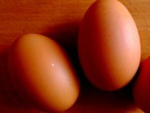 Агенцията по храните иззела над 110 хил. яйца