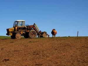Земеделските производители сами избират как да облагат доходите си през 2013 г.