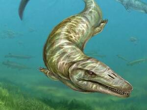 Откриха останки от древно морско чудовище в Унгария