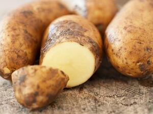 7 любопитни факта за картофите